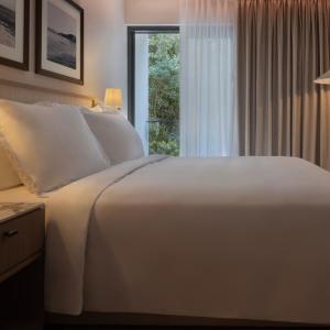 Premium Suite
