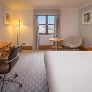 Deluxe Double Hilton Guest Room