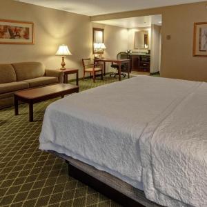 King Studio Suite with Sofa Bed - Non-Smoking