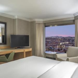 Deluxe King Suite