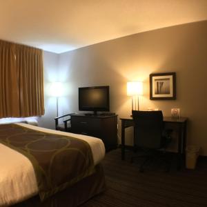 Queen Room - Disability Access - Non-Smoking