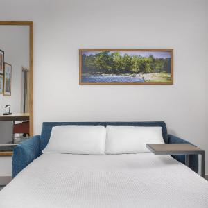 King Suite with Roll-In Shower - Mobility and Hearing Access/Non-Smoking