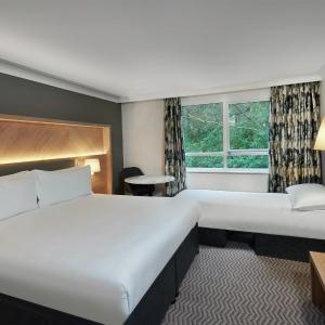 Deluxe King Room with Single Sofa Bed
