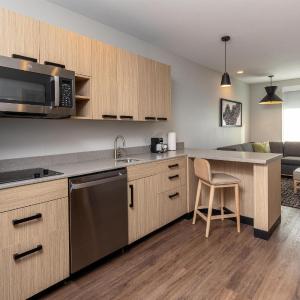 Specialty Studio Suite with One King Bed and Sofa Bed