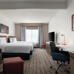 Evolution Queen Junior Suite