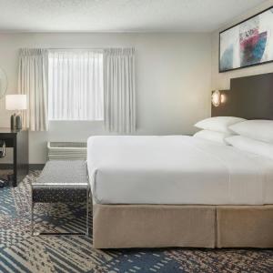 Demi King Suite with Sofa Bed