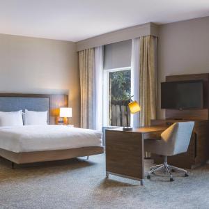 King Suite with Sofa Bed - Non-Smoking