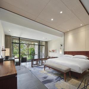 Deluxe King Room with View