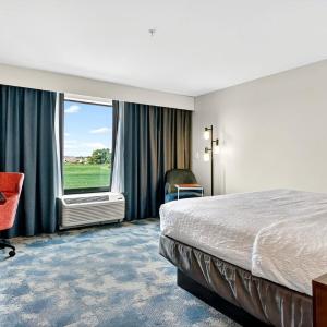 King Room - Non-Smoking