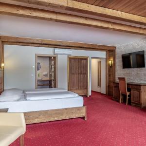 Triple Room with Mountain View