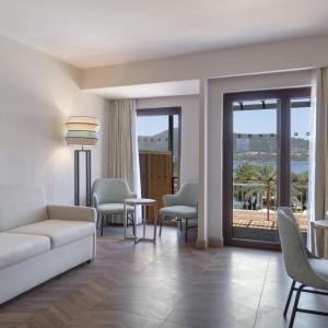 One-Bedroom Suite with View