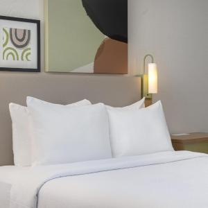 Queen Room with Roll-in Shower - Mobility Accessible
