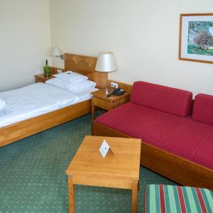 Single Room with Balcony