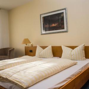 Large Comfort Double or Twin Room
