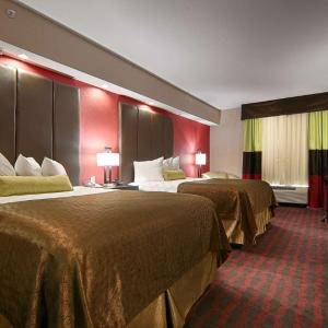Large Queen Suite with Two Queen Beds