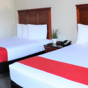 Standard Double Queen Room