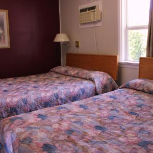 One-Bedroom Queen Suite (4 Adults)