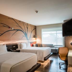 Queen Room with Two Queen Beds - Accessible/Non-Smoking 