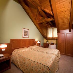 Attic Double or Twin Room