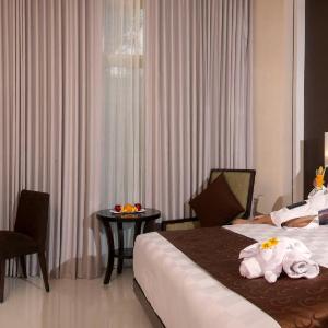 Superior Double or Twin Room (Room Only)