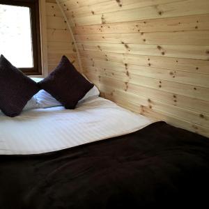 One-Bedroom Woodland Pod 