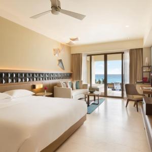Master King Room - Swim Up/Oceanfront