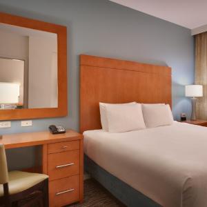 One-Bedroom King Suite