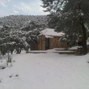 Studio Chalet