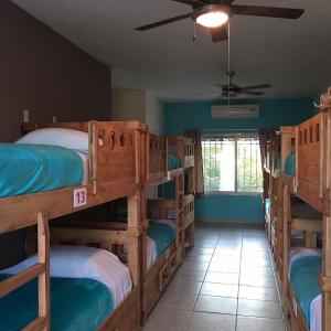 Single Bed in Mixed Dormitory Room
