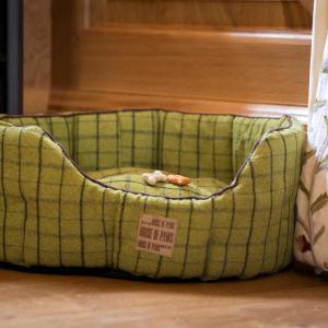 Deluxe King Suite (Dog Friendly)