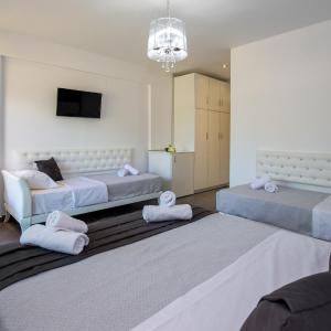 Superior Quadruple Room