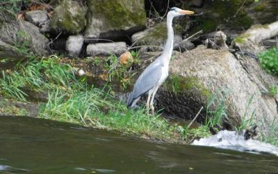 Maison 3u00a0Chambres Maison 3u00a0Chambres