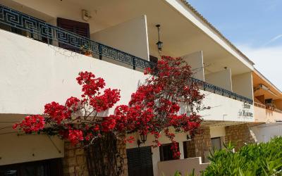 Appartement (2 Adultes + 2 Enfants)