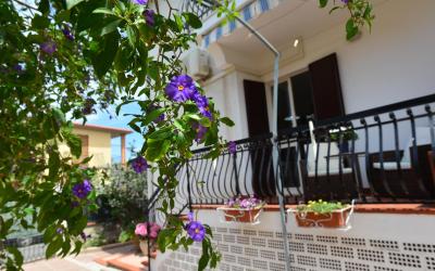 Appartamento con 2 Camere da Letto