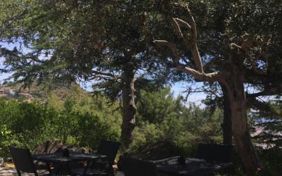 Appartamento Economy