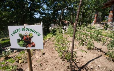 Appartamento con Vista Mare (6 Adulti)