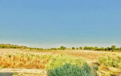 Ampia Camera Matrimoniale