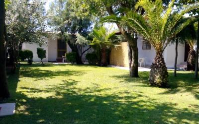 Bungalow Deluxe con Vista Giardino