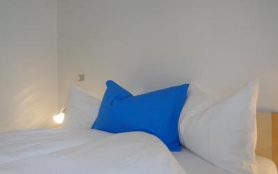 Camera Matrimoniale/Doppia con Letti Singoli