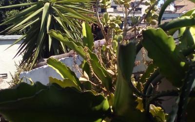 Appartamento con Terrazza