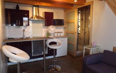 Studio avec mezzanine