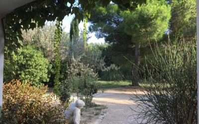 Maison de Vacances