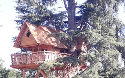 Cabane (4 Adultes) Cabane (4 Adultes)