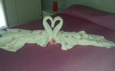 Camera Matrimoniale/Doppia con Letti Singoli