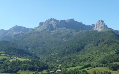 Appartement 1 Chambre