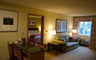 One-Bedroom King Suite with Sofa Bed
