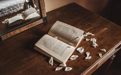 Camera Queen Superior