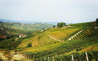 Camera Matrimoniale con Bagno Privato Esterno 