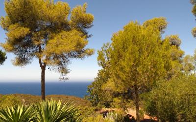 Chambre Quadruple avec Terrasse - Vue sur Mer