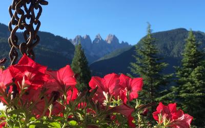 Camera Matrimoniale Deluxe con Vista Montagna